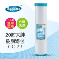 在飛比找PChome24h購物優惠-泰浦樂 Toppuror 20吋大胖樹脂濾心