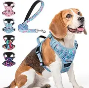 BEAUTYZOO No Pull Dog Harness Medium,Adjustable Floral Dog Harness and Leash Set -Easy Wearing with 3 Buckles/Control Handle,No Choke Soft Padded Reflective Pet Vest for Training Walking Hiking,Blue M
