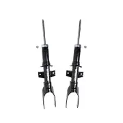 2 Front Roadsafe STR Sealed Strut Shock Absorbers for Volkswagen Amarok 2H 11-22