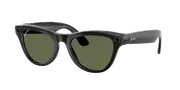 RAY-BAN-0RW4010-601/9A-5220-SUNGLASSES