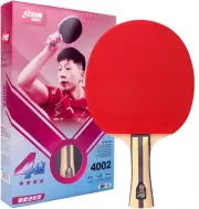 DHS Ping Pong Paddles Professional Table Tennis Racket with Hurricane Rubber Car