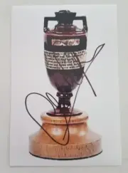 ASHTON AGAR CRICKET SIGNED IN PERSON 10 x 15cm PHOTO COA "GENUINE" ASHES