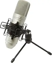 Tascam TM-80 – Condenser Microphone,Silver