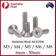 M3 M4 M5 M6 M8 Screw s Bolt s Countersunk Socket Flat Stainless Steel A4 G316