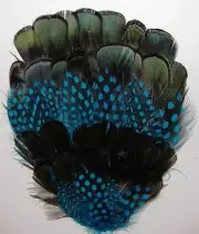 ONE GUINEA/PHEASANT FEATHER PAD - TURQUOISE; Headband