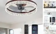 20" Modern Ceiling Fans with Lights and Remote, Dimmable Low Profile Ceiling