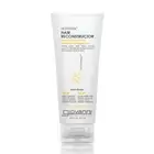 Giovanni Nutrafix Hair Reconstructor 6.8 Fl Oz Nourishing Moisturizer Color Safe