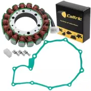 Stator & Gasket for Honda VT600CD VT-600CD Shadow 600 VLX Deluxe 1993-1998