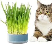Cat Grass Box | Hydroponic Sprouter Tray,Cat Grass Grower Planting Box, Propagation Sprouter Tray, Cat Plants Grass Box, Soil Catnip Planter Pochy