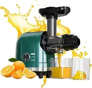 Juicer Machines, 250W Slow Masticating Juicer, 1.3L Cold Press Juicer Extractor with Quiet Motor and Reverse Function, Easy to Clean, Two Cups and Brush, for Fruits and Vegetables, Dark Green