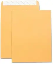 Business Source Catalog Envelope (42121)