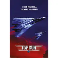 在飛比找蝦皮商城優惠-【捍衛戰士】Top Gun (The Need for Sp