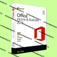 在飛比找露天拍賣優惠-超低價Microsoft OFFICE 2016 中文家用&