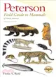 A Field Guide to Mammals of North America