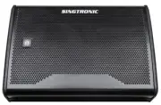 Singtronic 2000W Powered Vocal Karaoke Stage Monitor Speaker