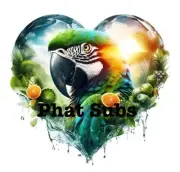 Sublimation Print Parrot Heart Ready to Press Heat Transfer