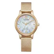 Citizen Eco-Drive Mesh Women's Watch EM0892-80D