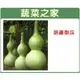 【蔬菜之家】G32.葫蘆匏瓜種子5顆 種子 園藝 園藝用品 園藝資材 園藝盆栽 園藝裝飾