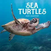 Sea Turtles 2025 Calendar