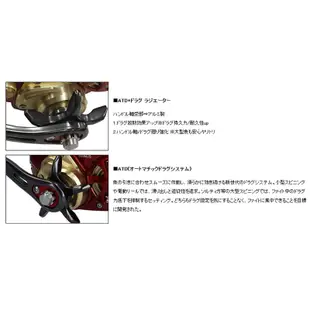 《DAIWA》電動捲線器 SEABORG 800MJS (高速版) 船釣 小搞搞 兩軸 2019新款 中壢鴻海釣具館