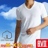 BVD 100%純棉優質U領短袖衫