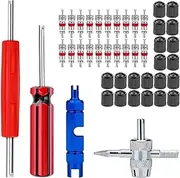 44PCS Tire Valve Stem Puller Tools Set, Valve Caps Snap-in Valve Stems with Valve Stem Cores,Dual & Single Head Valve Core Remover Tool, 4-Way Valve Tool for Car Vehicle Motorcycle Truck Bicycle