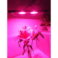 在飛比找蝦皮購物優惠-◤AMO LED◢  防水植物燈  戶外型植物燈