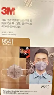 (250) 3M 9541 NIOSH Approved N95 Particulate Respirator Face Mask. made in 2020