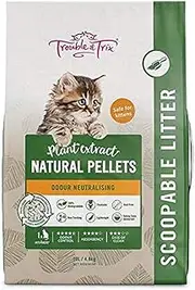 Trouble and Trix Natural Cat Litter, 10 Liter (AQ372)