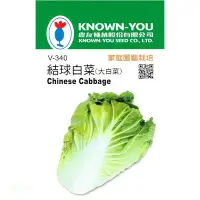 在飛比找Yahoo!奇摩拍賣優惠-種子王國 結球白菜【蔬果種子】 大白菜 農友牌 小包裝種子 
