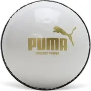 PUMA Leather Session Cricket Ball - Cricket Power, White