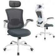 Ergonomic Office Chair with Adjustable Lumbar Support & Headrest, High Back M...