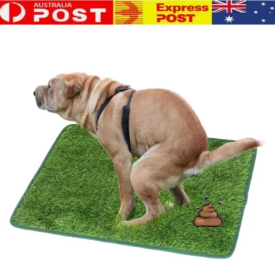 Pet Puppy Potty Trainer Indoor Training Toilet Dog Artificial Turf Grass Pad Pee