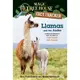 Magic Tree House Fact Tracker #43: Llamas and the Andes/Mary Pope Osborne【三民網路書店】