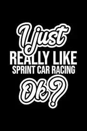 I Just Really Like Sprint Car Racing Ok?: Christmas Gift for Sprint Car Racing lover | Funny Sprint Car Racing Journal | Nice 2019 Christmas Present for Sprint Car Racing | 6x9inch 120 pages