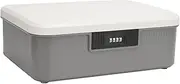 Password Storage Box, Large Capacity, Specialist Design, File Storage Case with Password Lock for Documents, Files, Objects, Home Office (Gray)