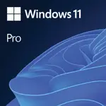 Microsoft Windows 11 Pro ESD