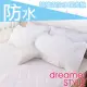 《dreamer STYLE》100%超強防水枕頭保潔墊 枕墊(1入)