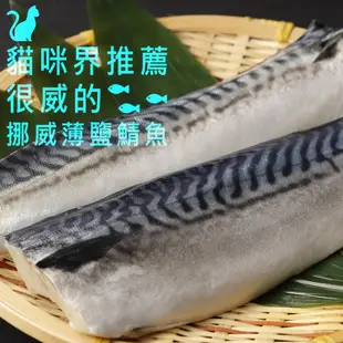 祥鈺水產｜挪威薄鹽鯖魚4公斤21片，單片190g±20克