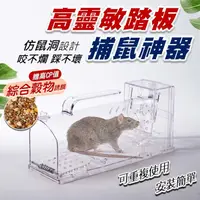 在飛比找蝦皮購物優惠-踏板捕鼠器 高靈敏踏板 【附發票】 捕鼠籠 老鼠夾 捕鼠神器