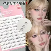Aimo - Natural Wispy Cluster Lower False Eyelashes (Various Designs) DDT127-02 - 10 Row - Bottom False Eyelashes - Black - One Size