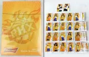 Phoenix Suns Dancers Playing Cards 2011-2012 Budweiser Sealed NBA Poker Night