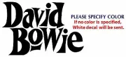 DAVID BOWIE Metal Music Graphic Die Cut decal sticker Car Truck Boat window 7"