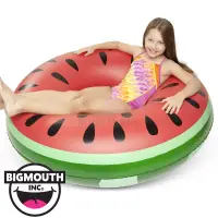 在飛比找博客來優惠-美國 Big Mouth 造型游泳圈 西瓜款