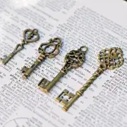 8 x Royal Skeleton Key Antique Old look Vintage Key AU SELLER style