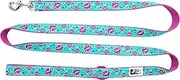 RC Pets 3/4" x 6' Dog Leash, All The Buzz