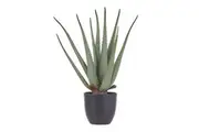 Rogue Artificial Aloe Vera Plant in Pot Fake Succulent Potted Plant 45x50cm