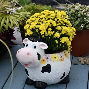 可愛卡通動物雕塑花盆奶牛擺件多肉植物盆栽花園裝飾庭院陽臺布置