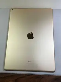 在飛比找Yahoo!奇摩拍賣優惠-Apple IPad Pro 12.9吋 32G WIFI版