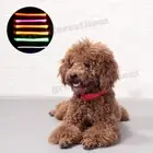 Rechargeable Dog Collar LED Nylon Glow Flashing Light Up Safety Pet USB Collars